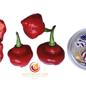 Jamaican Red Hot Pepper