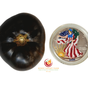 Rebel Starfighter Dippers Delight Tomato