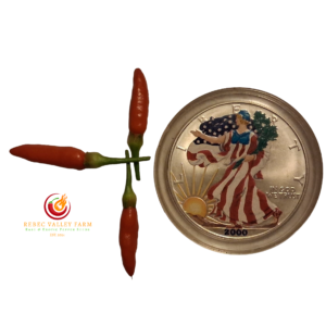 Siling Labuyo Pepper