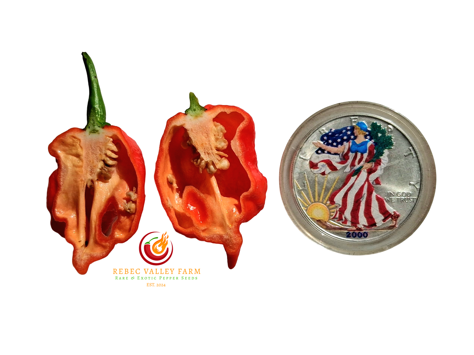 7 Pot Primo Heatless Pepper - Image 2