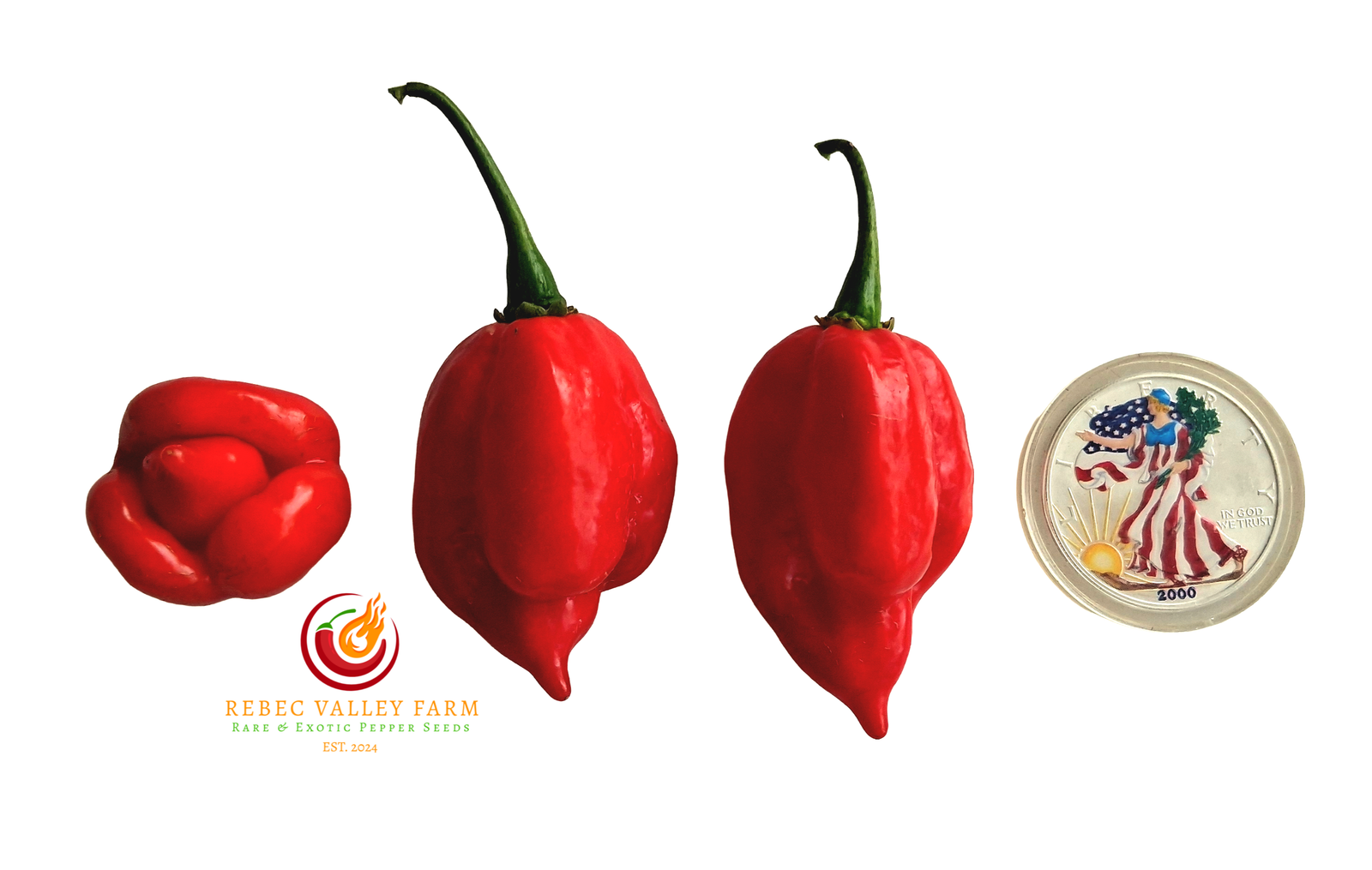 Sweet Emotion Pepper